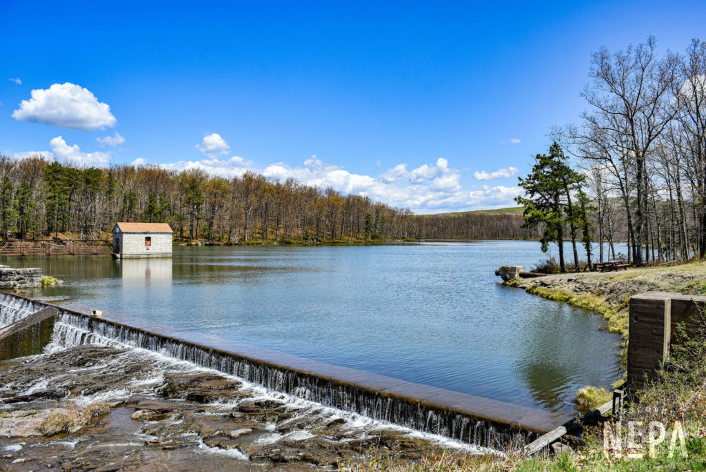 reservoir and dam during the day